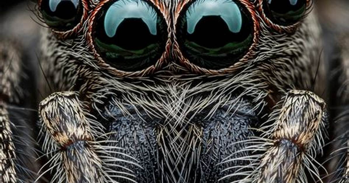 A Close Look at Yololary's Spider-Man Suit: Materials, Lenses, and Fit