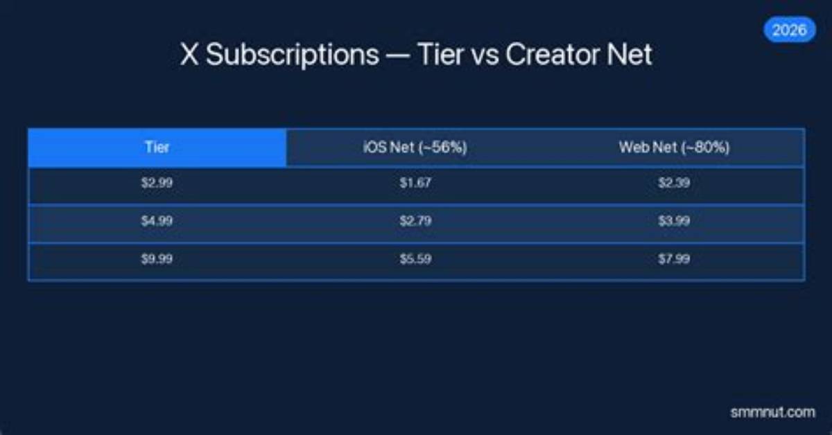 Adult Performer Income Guide: Scene Fees, Subscriptions, and Career Realities