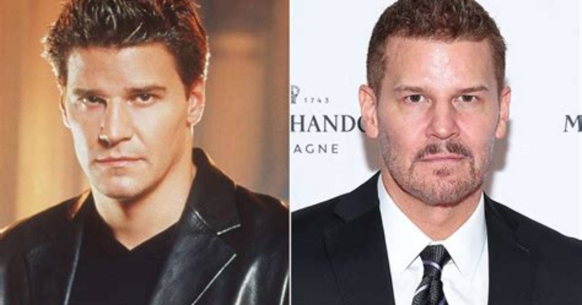 Booth Vs. Sully: Did David Boreanaz and Eddie Mcclintock Clash Behind the Scenes?