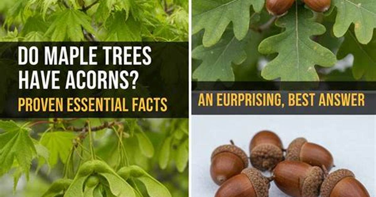 Botanical Fact-Check: Are Avocados, Acorns, and Açaí Technically Fruits?