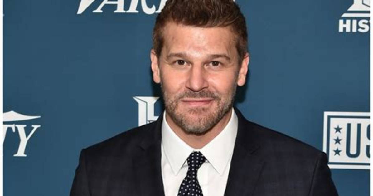 Breaking Down David Boreanaz’s Real Net Worth: Tv Salaries, Royalties, and Assets