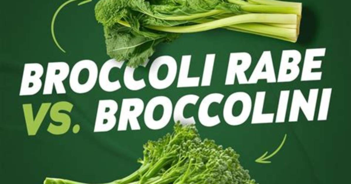 Broccoli Rabe vs Broccolini Fact-Check: Are They Even Related to Real Broccoli?