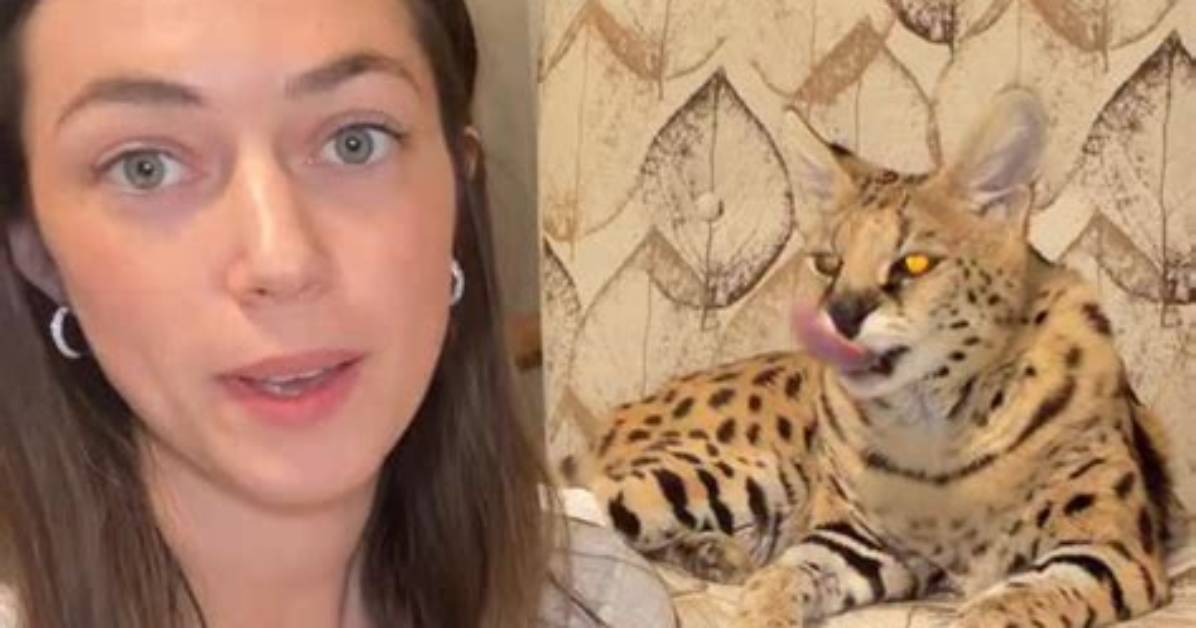 Chloe Amau Viral Trend Fact-Check: Real Creator Footage or Algorithmic Clickbait?