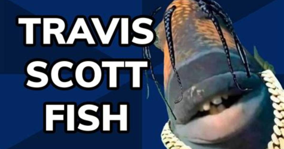 Did Travis Scott Acknowledge the Fish Meme? Fact-Checking the Viral Craze