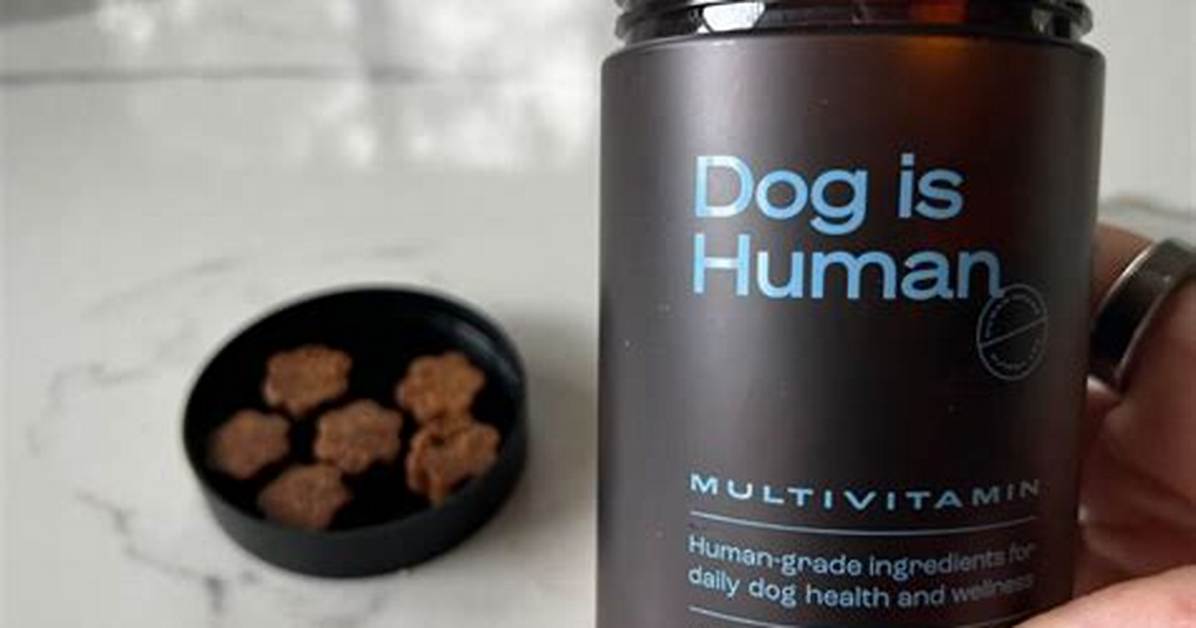 Dog Is Human Multivitamin Review: Does This All-in-One Chew Actually Work?