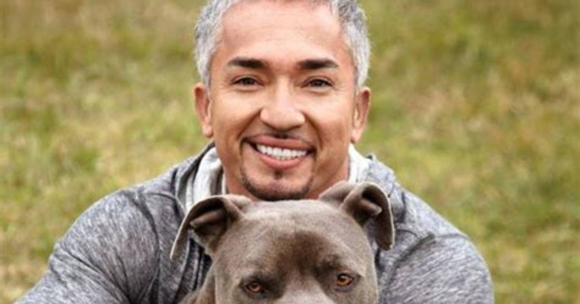 Dog Whisperer Tragedy Fact Check: Debunking Viral Claims and Lethal Attack Rumors