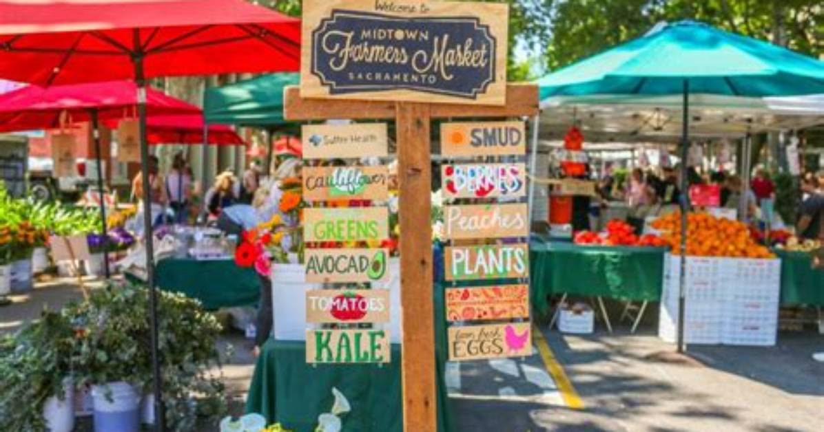 Fact-Checking Kaiser South Sacramento Farmers Market: Schedule, Ebt Access, and Transit Reality