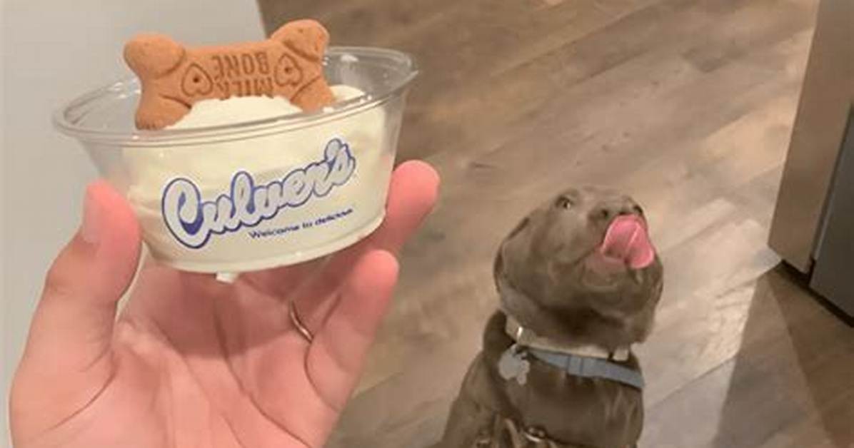 Fast Food Chains Expand Dog Treat Menus in 2026: Where Does Mcdonald's Stand?