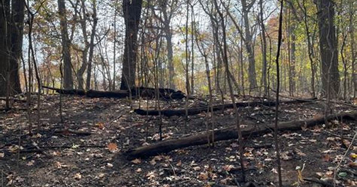 Foster Park Fire Damage and Trail Conditions: Photos, Fire Maps, and Visual Verification