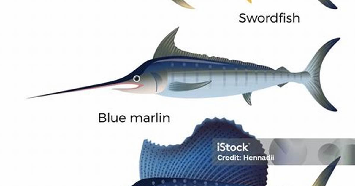 Frozen Vs. Thawed Swordfish Test: Visual Side-by-Side Texture and Moisture Results