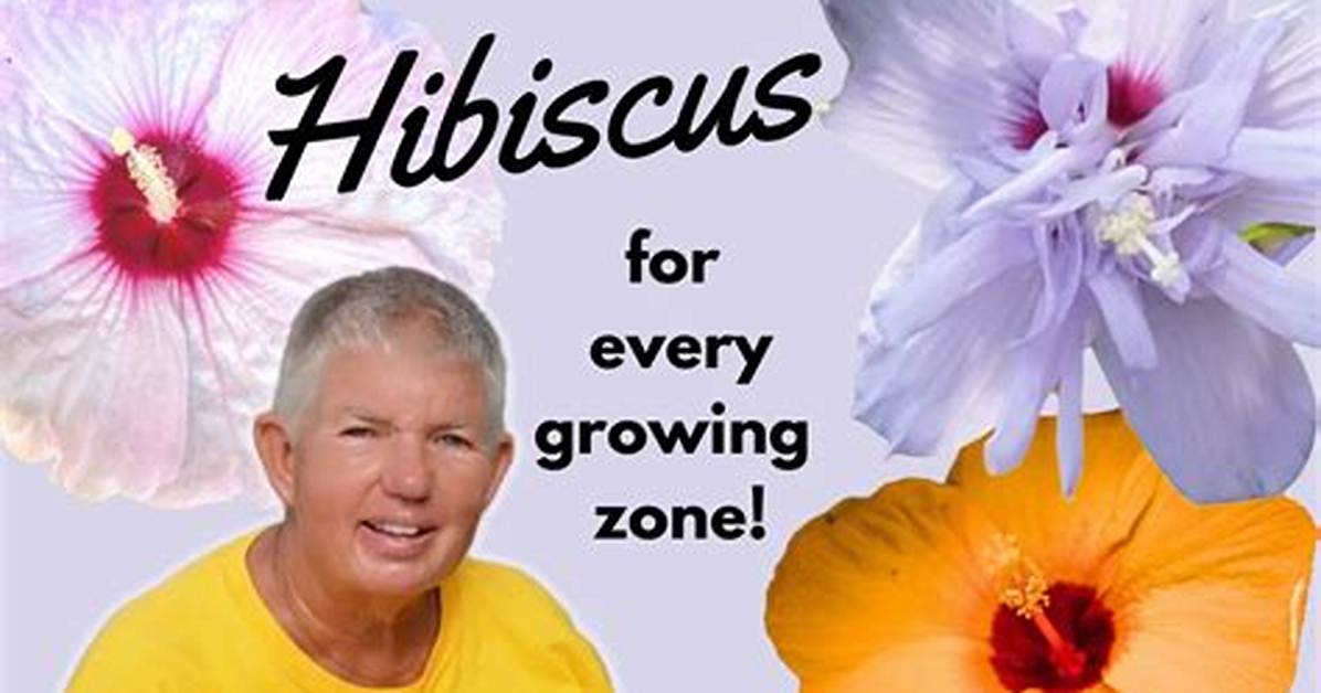 Hibiscus vs Hollyhock: How Botanical Illustrators Tell These Similar Blooms Apart