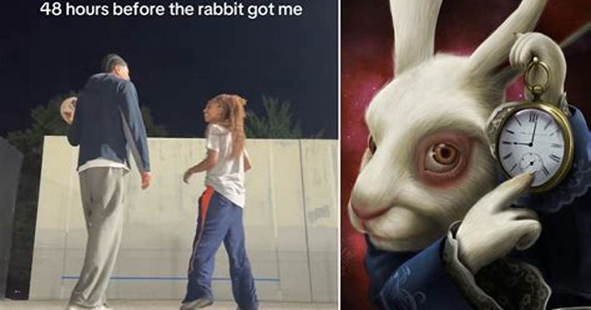 How 'The Rabbit Got Me' Took over Social Media: from Niche Tiktoks to Global Movement
