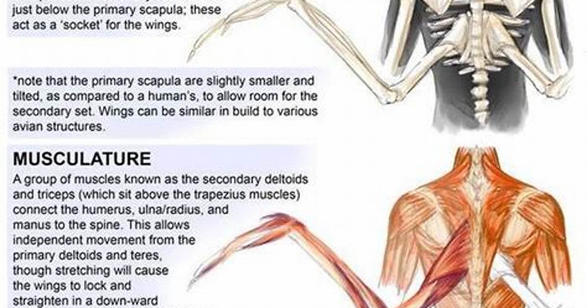 Inside the Death Angels' Anatomy: Visual Breakdown of the Quiet Place Monsters
