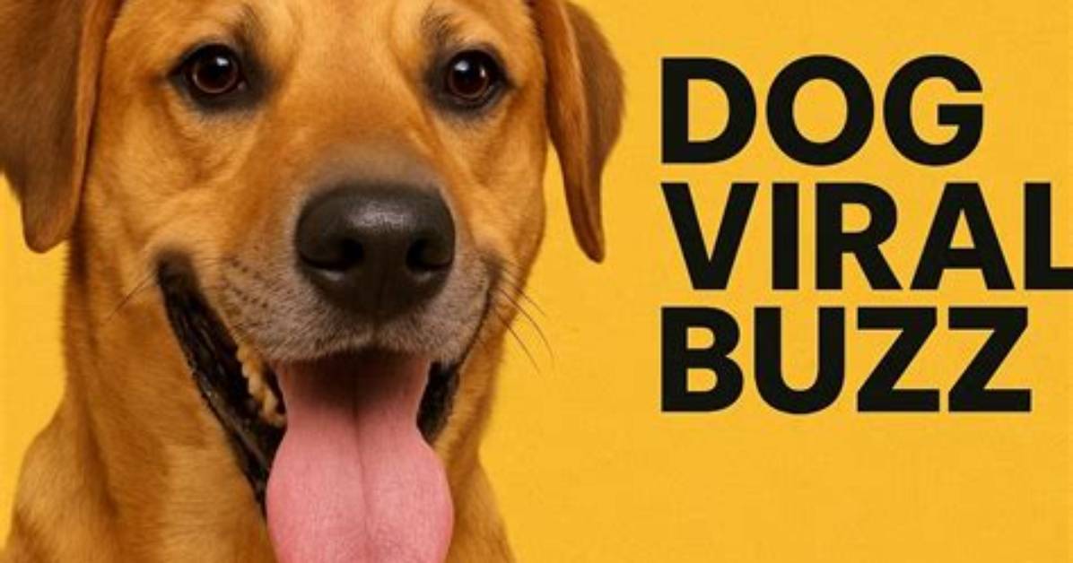 Inside the Viral Buzz: Why Olivia M. Schrager's Instagram Is Blowing up the Internet Right Now