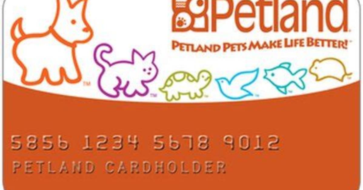 Is the Petland Credit Card Predatory? Fact-Checking in-Store Financing Claims