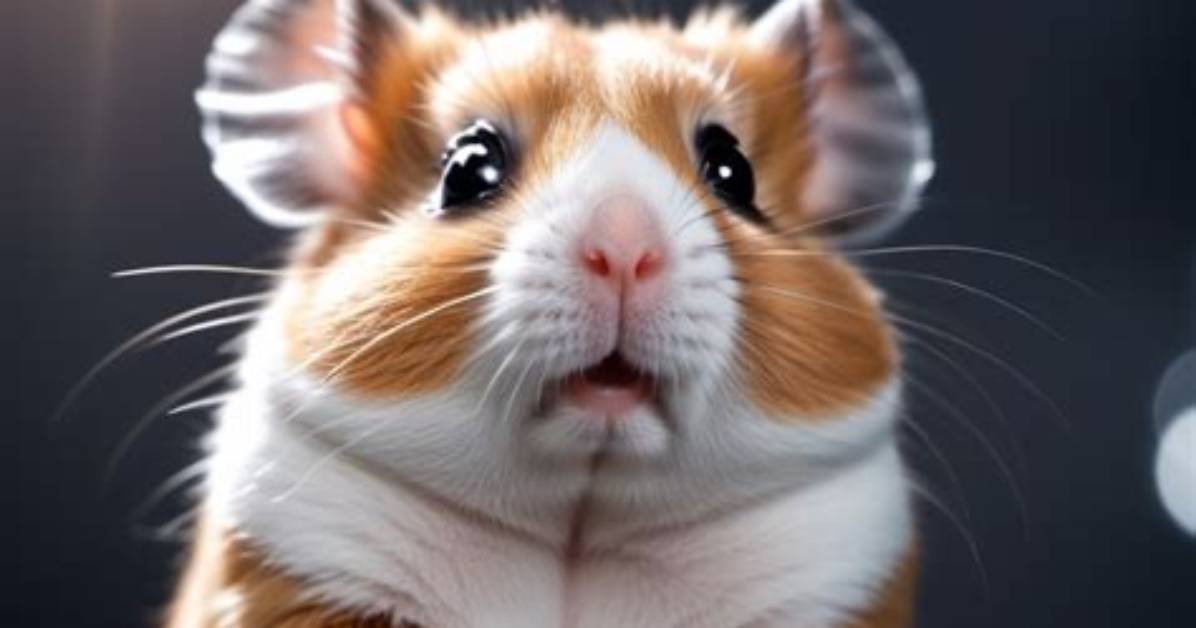 Is the Sad Hamster Okay? the Real Story Behind the Viral Clips