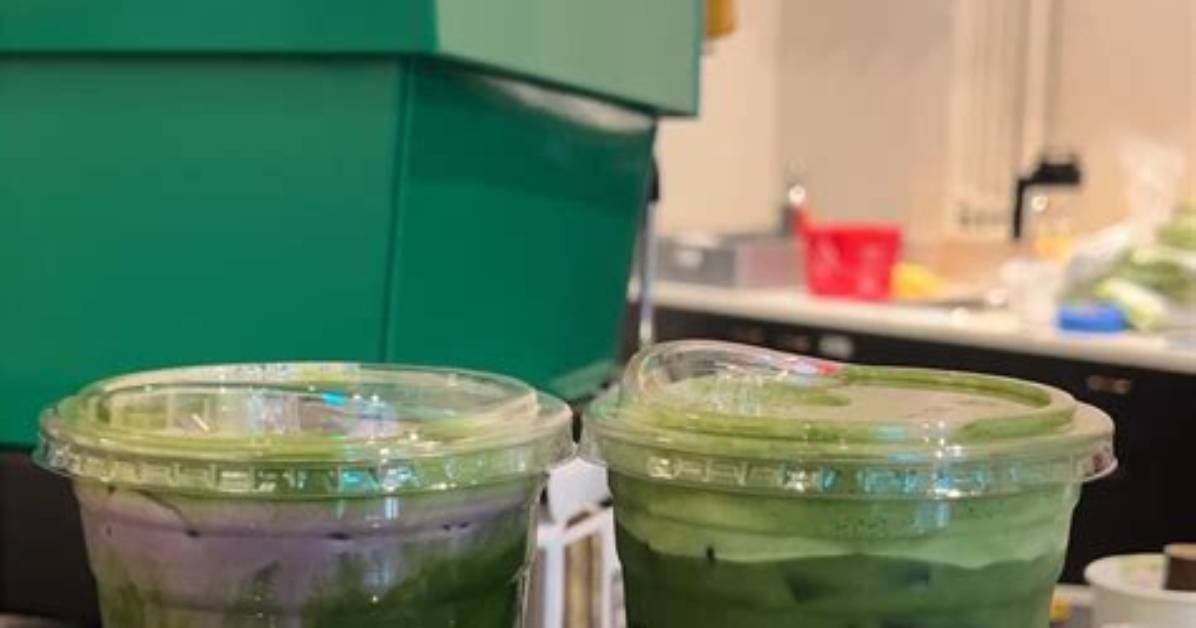 Is the Viral Mako Matcha Mill Actually Worth the Hype? the Shocking Truth Behind the Trend