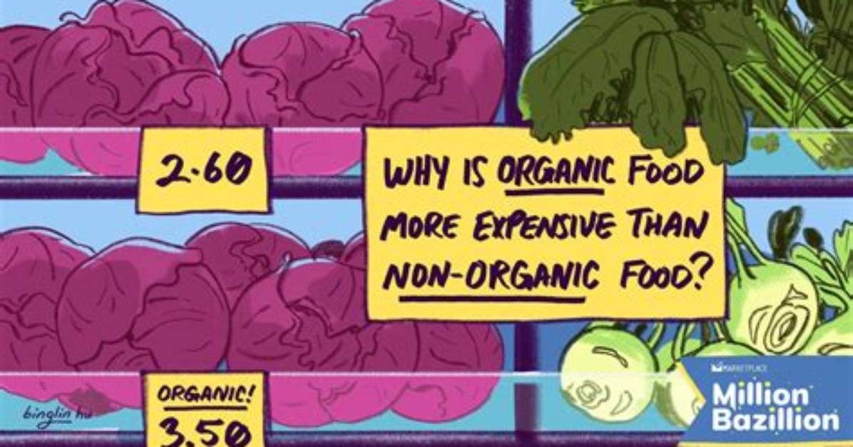 Organic Vs. Expensive: Fact-Checking Today's Most Popular Health Grocers