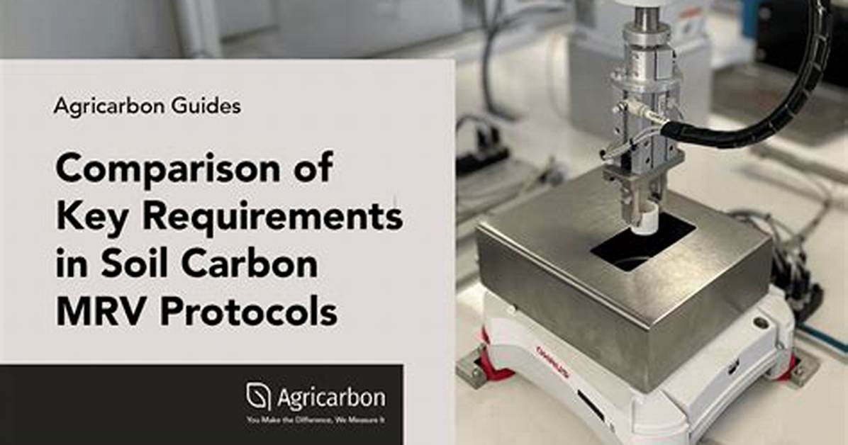 Protecting Carbon and Alloy: Updated Workshop Protocols for Bike and Auto Torque Tools