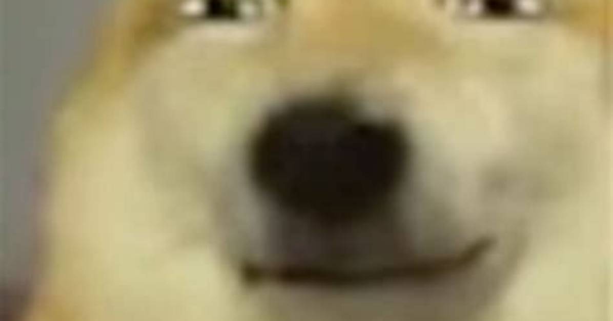 Smirking Dog Meme Guide: Original Source, Best Uses, and Downloadable Templates