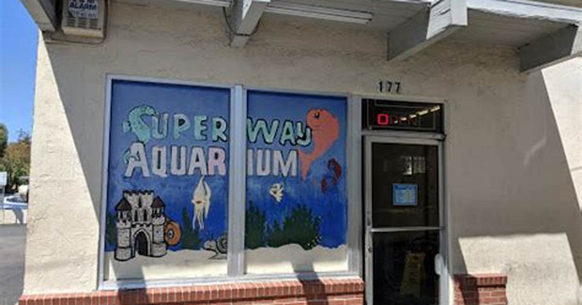 Superway Aquarium Hayward Recent Updates: Community Buzz and Store Status