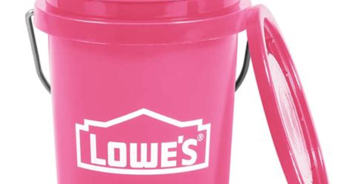 The $2 Lowe's Mini Pink Bucket Returns for Valentine's Day 2026