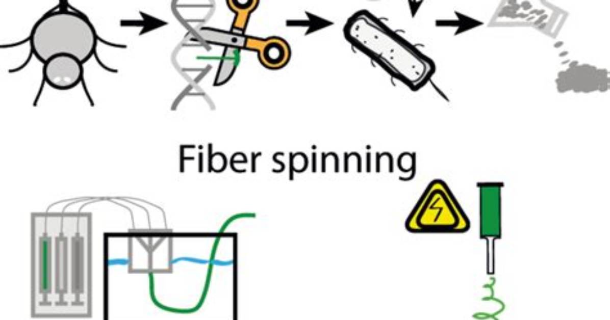 The Biotextile Evolution: How Medical Silk Fibers Entered Modern Aesthetics