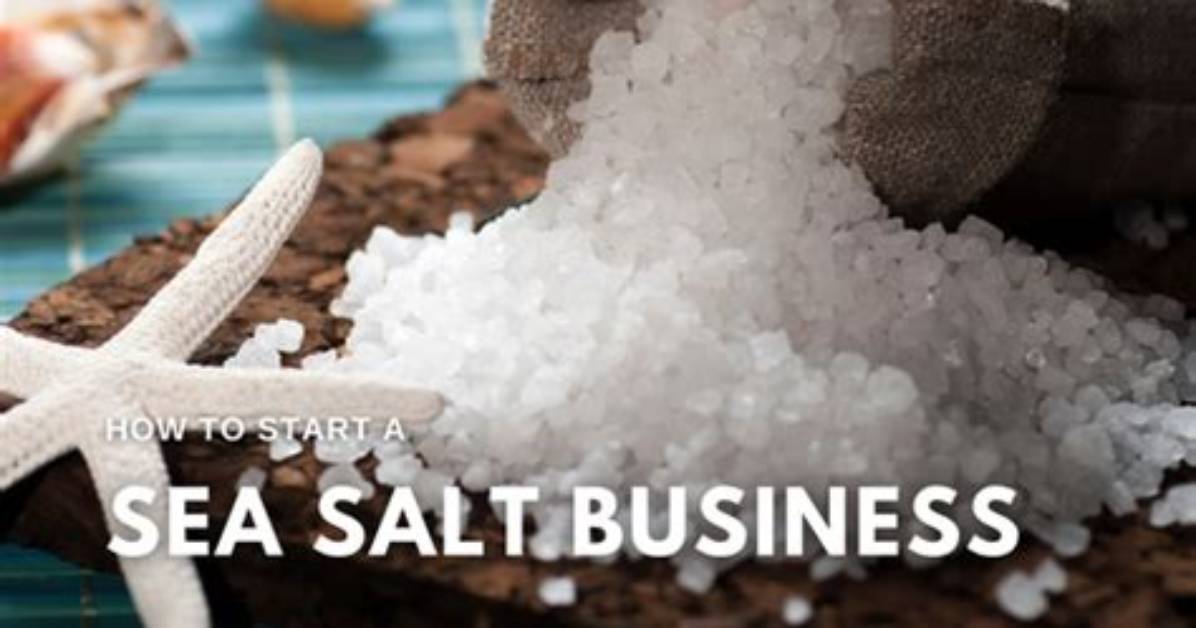 The Business of Simplicity: How Sea Salt Eatery Built 20 Year's of Staying Power
