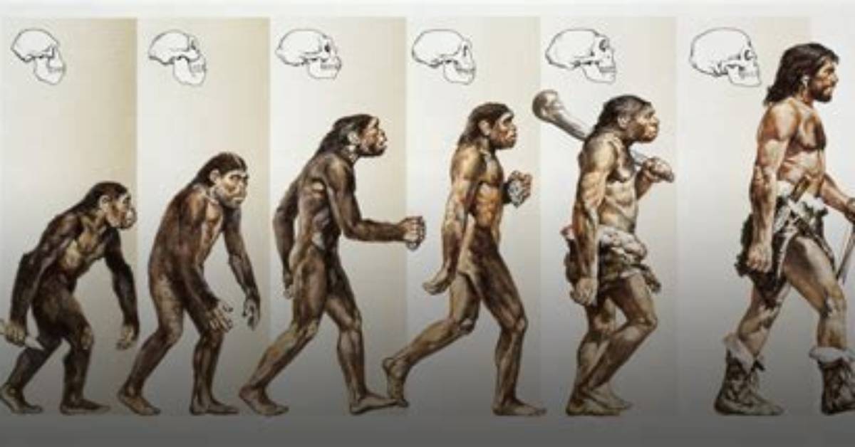 The Evolution of Body Image in China: a Decade of Transformation from 2015 to Today
