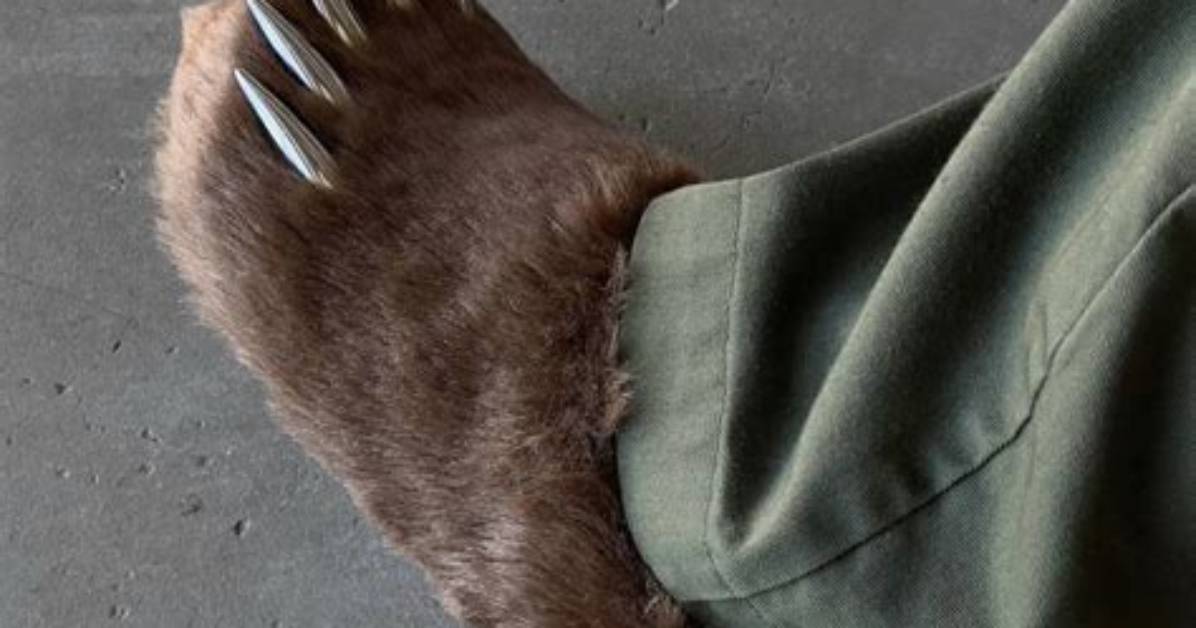 The Ultimate Bear Claw Shoe Guide: Retail Pricing, Sizing, Drops, and Where to Buy