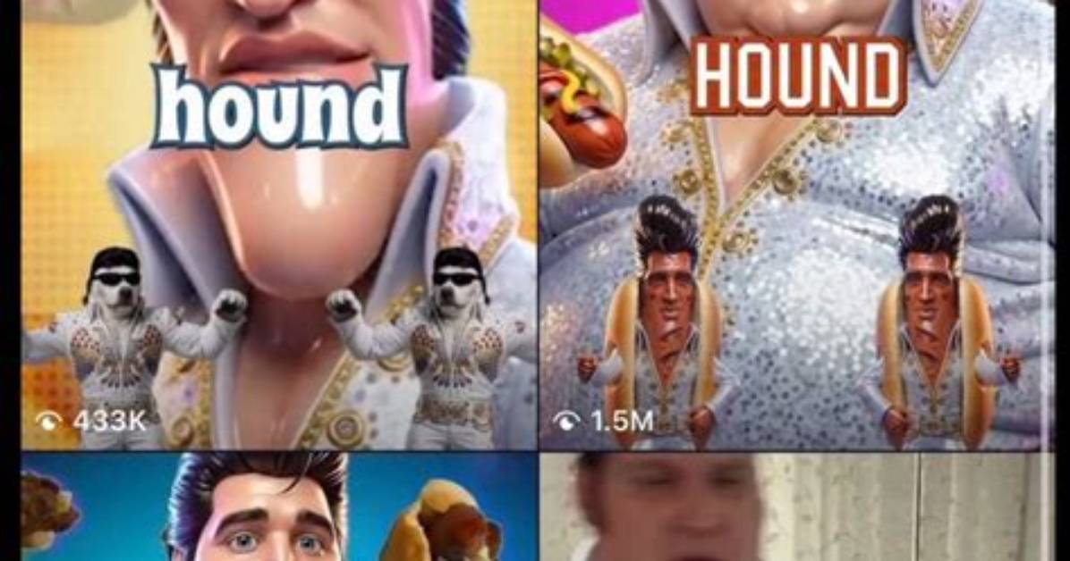 The Ultimate Hound Dog Meme Guide: Tiktok Trends, Origins, and Video Games