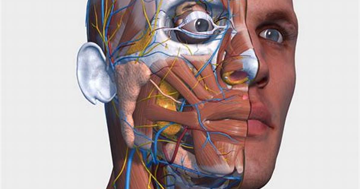 The Visual Anatomy of the Internet’s Viral Victorian Child Archetype