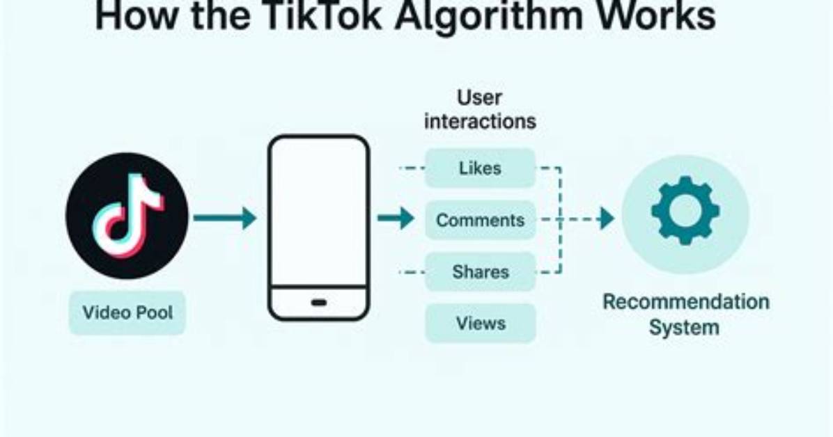 Tiktok Explore Page Fact-Check: Algorithm Shift, Rumors, and Reality