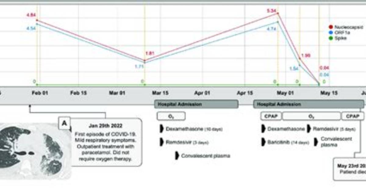 Timeline of a Viral Spike: How Five Words Captured the Internet's Collective Anxiety