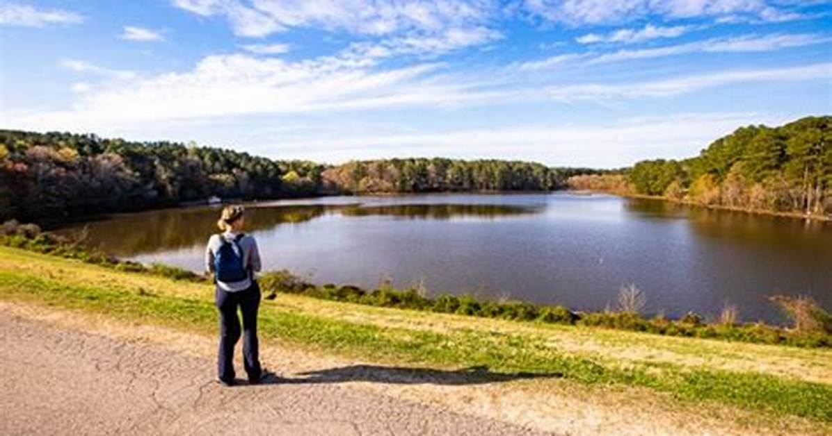 Visiting Shelley Lake Park: Fact-Checking Trail Rules, Dog Leash Laws, and Nest Protections