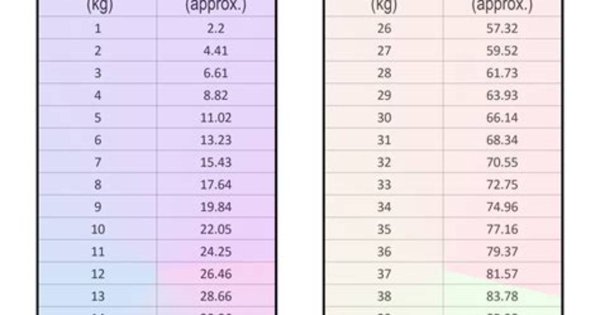 What Does 67.5 Kilograms Actually Mean in Pounds? the Shocking Real-World Benchmark