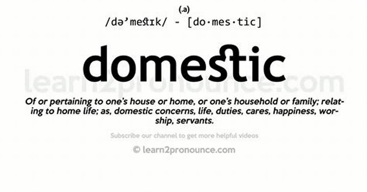 What Does Domestic Mean? the Complete Explainer on Family, Finance, and Government