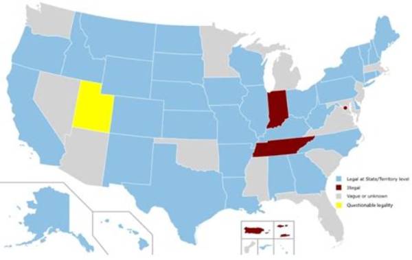 Where Is Female Topfreedom Actually Legal? the Surprising Global and Us Legal Map