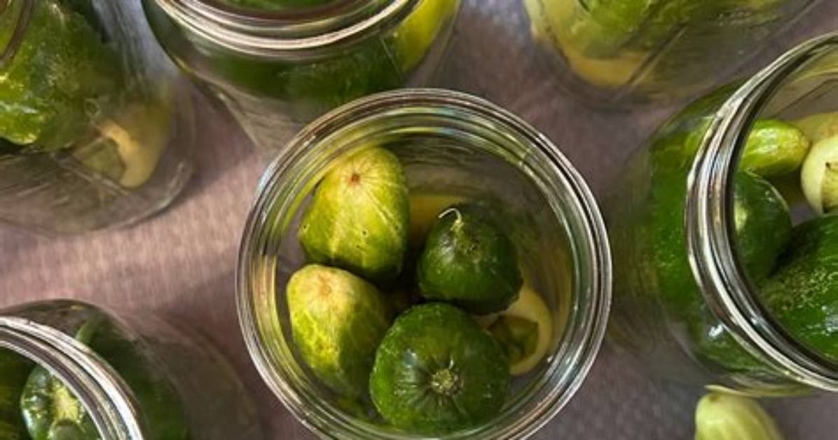 Why ‘Pickle’ Is Suddenly Trending Across Spain: from Tapas Jars to Ppa Tours